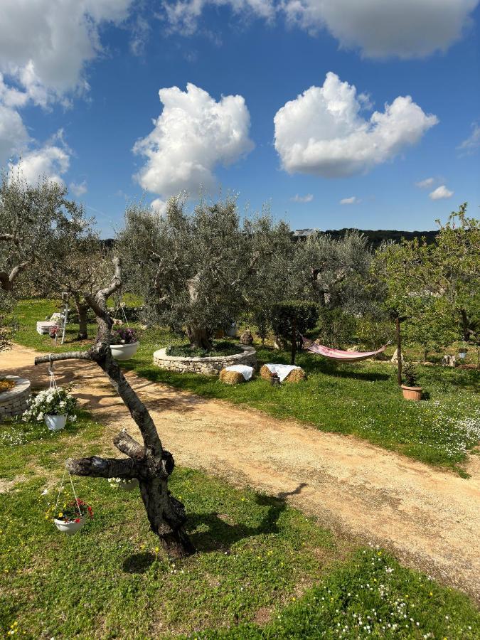 Trulli Barsento Guest House อัลเบโรเบลโล ภายนอก รูปภาพ