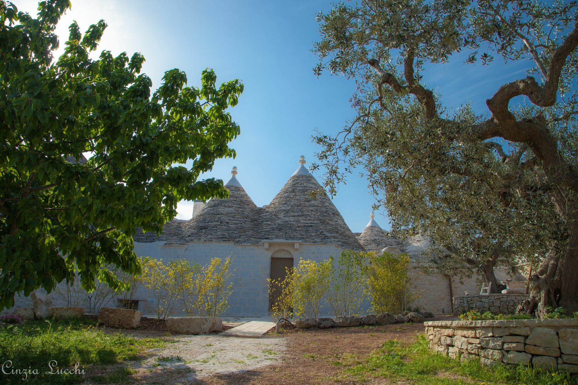 Trulli Barsento Guest House อัลเบโรเบลโล ภายนอก รูปภาพ